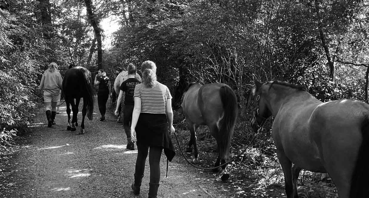 Workshop Koninklijk wandelen